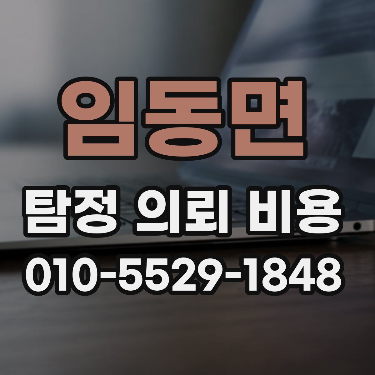 임동면 탐정 의뢰 비용