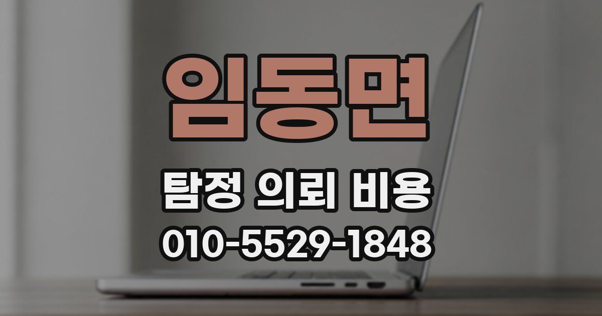 임동면 탐정 의뢰 비용