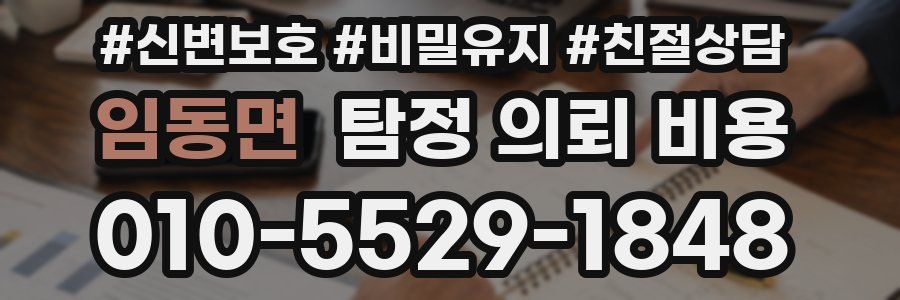 임동면 탐정 의뢰 비용