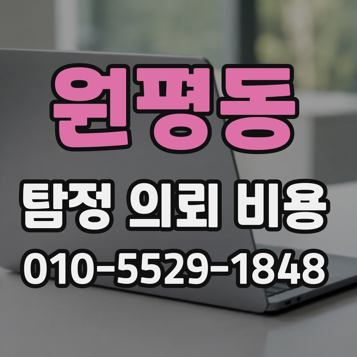 원평동 탐정 의뢰 비용