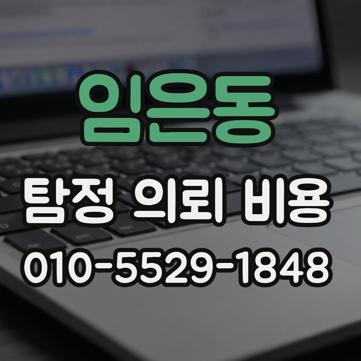 임은동 탐정 의뢰 비용