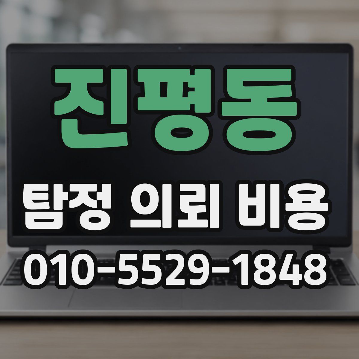 진평동 탐정 의뢰 비용