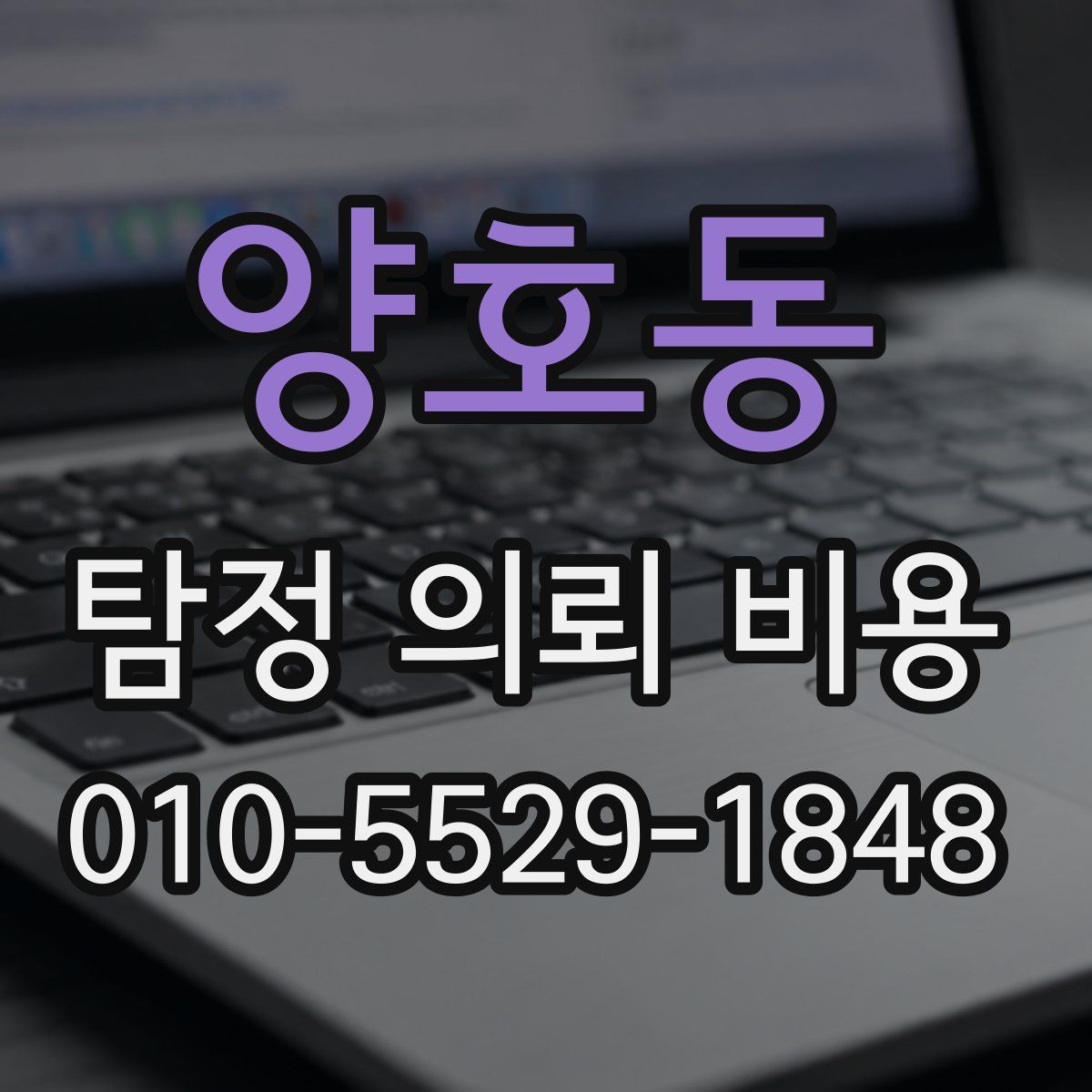 양호동 탐정 의뢰 비용