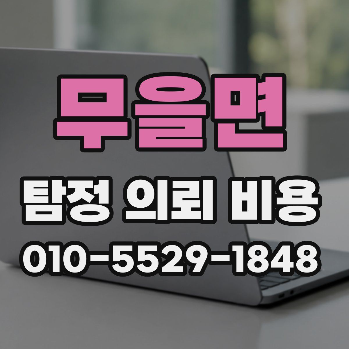 무을면 탐정 의뢰 비용
