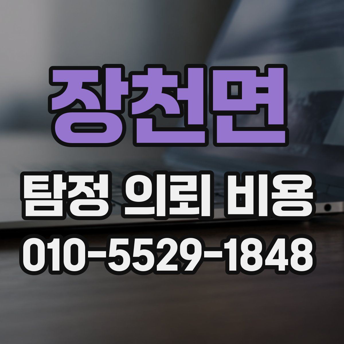 장천면 탐정 의뢰 비용