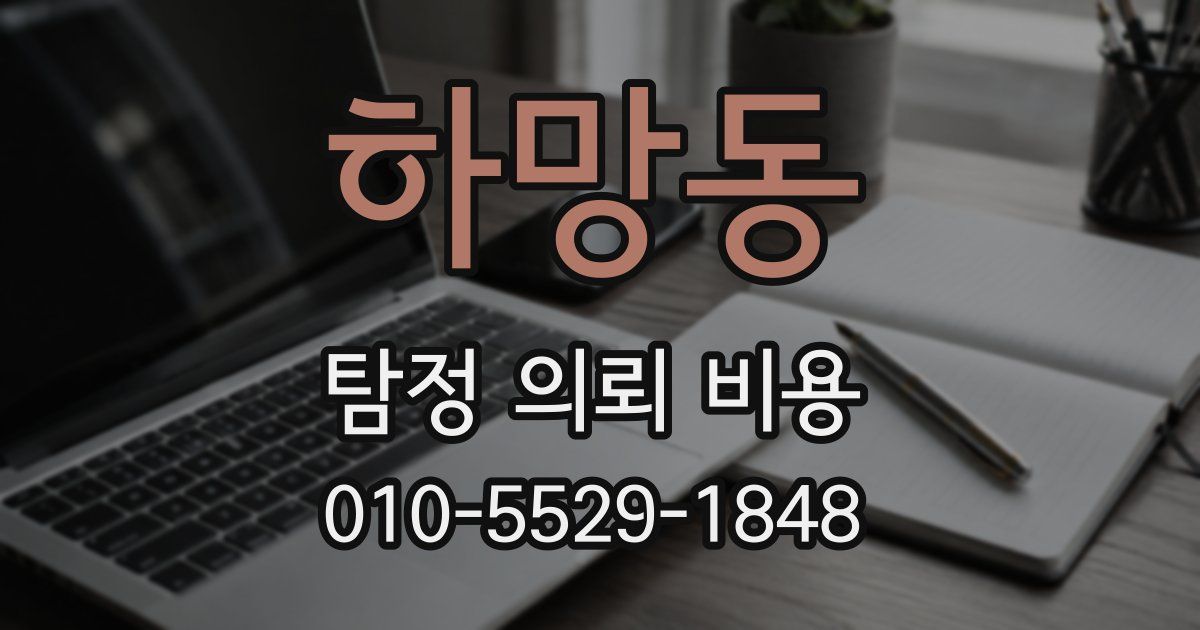 하망동 탐정 의뢰 비용