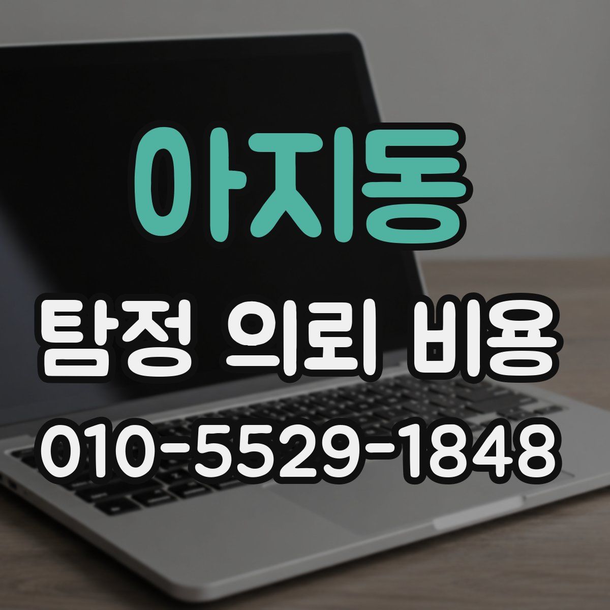 아지동 탐정 의뢰 비용