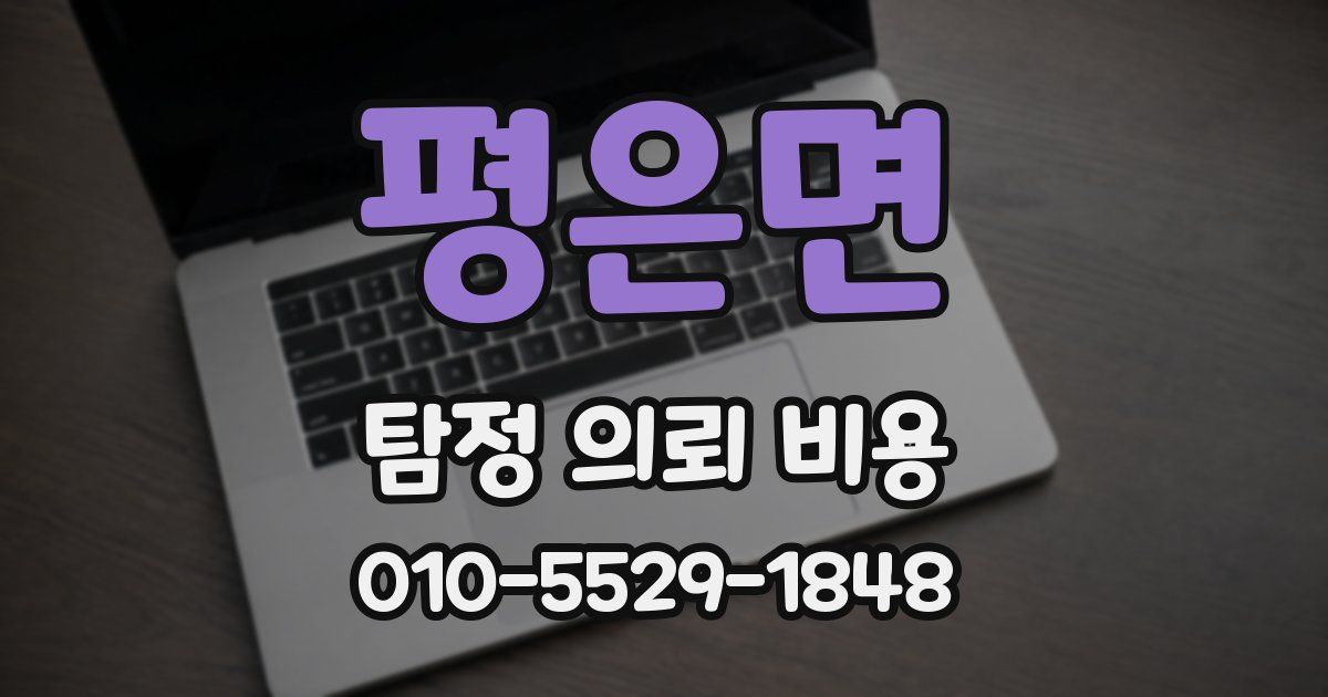 평은면 탐정 의뢰 비용