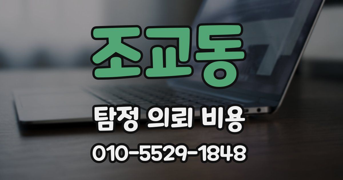 조교동 탐정 의뢰 비용
