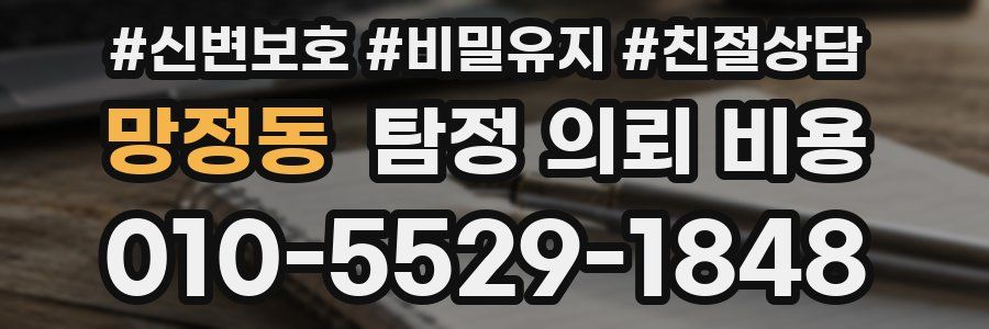 망정동 탐정 의뢰 비용