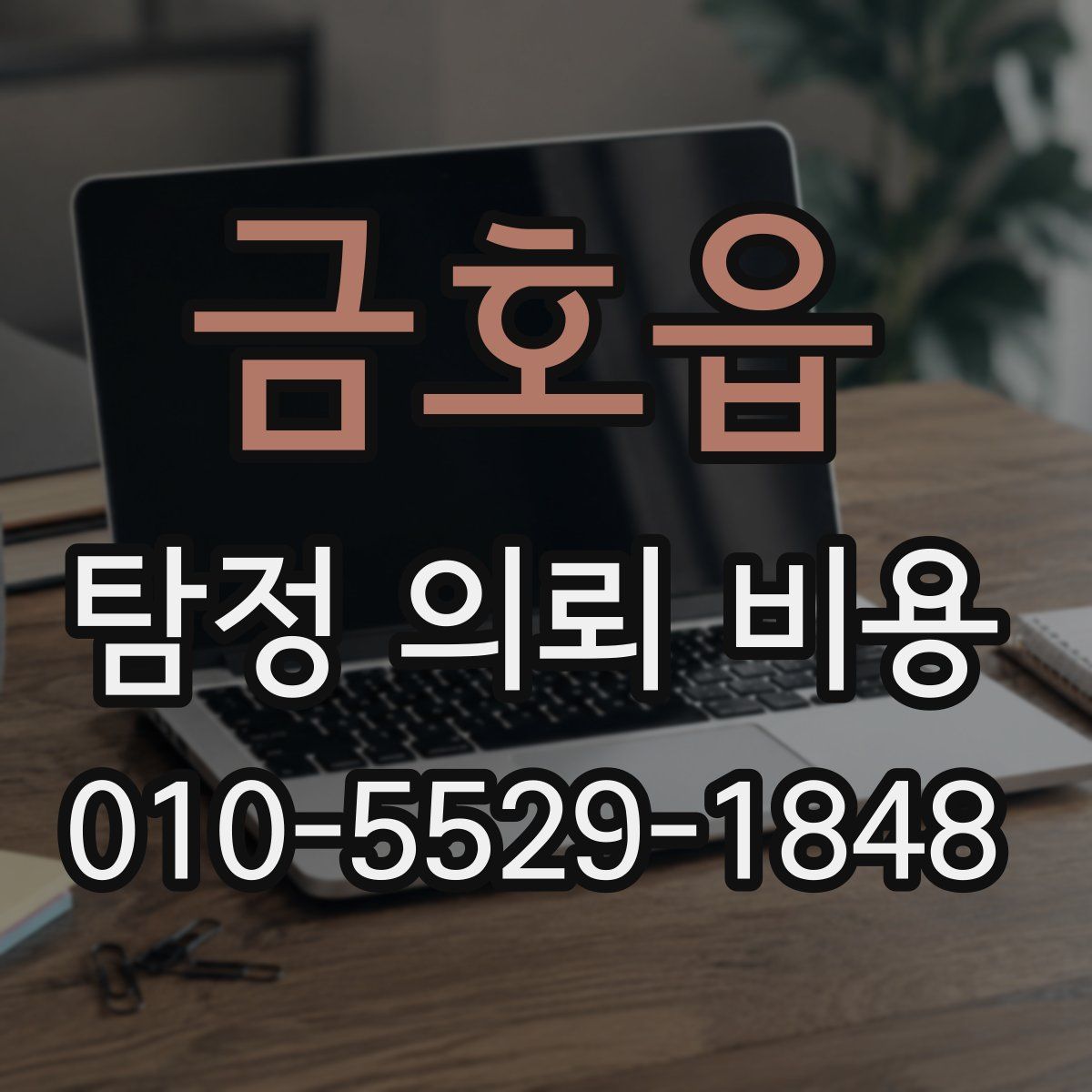 금호읍 탐정 의뢰 비용