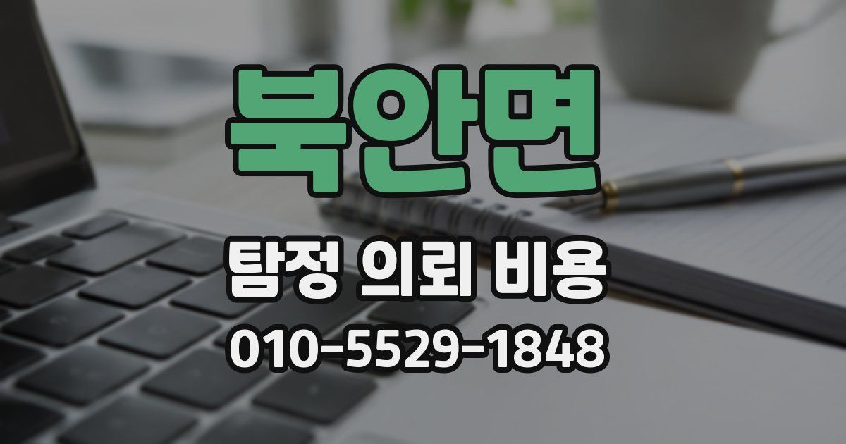 북안면 탐정 의뢰 비용