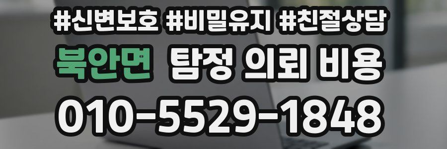 북안면 탐정 의뢰 비용