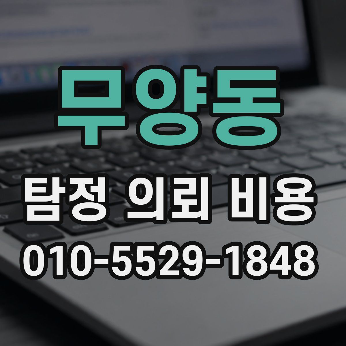 무양동 탐정 의뢰 비용