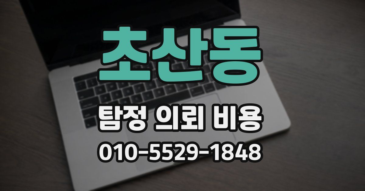 초산동 탐정 의뢰 비용