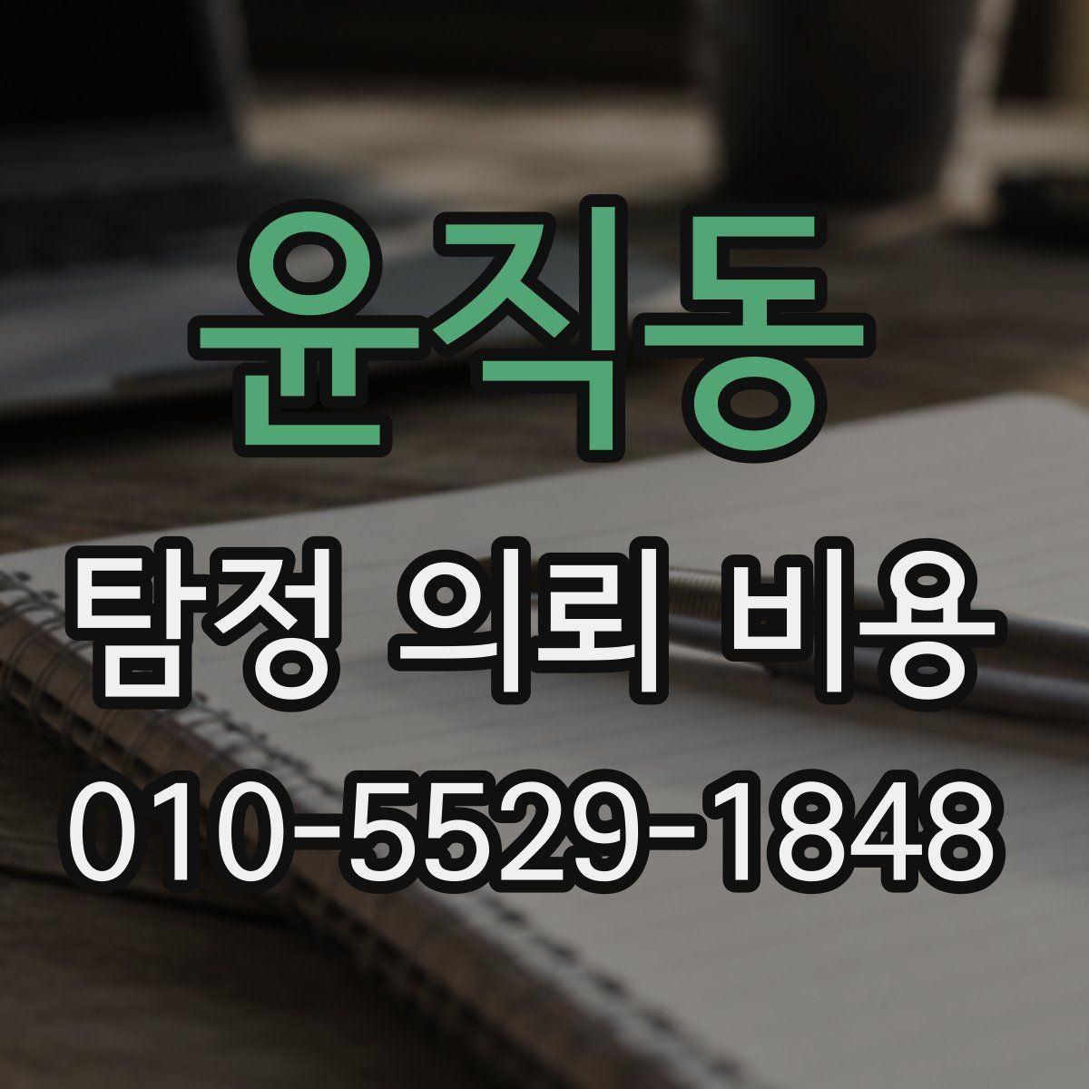 윤직동 탐정 의뢰 비용