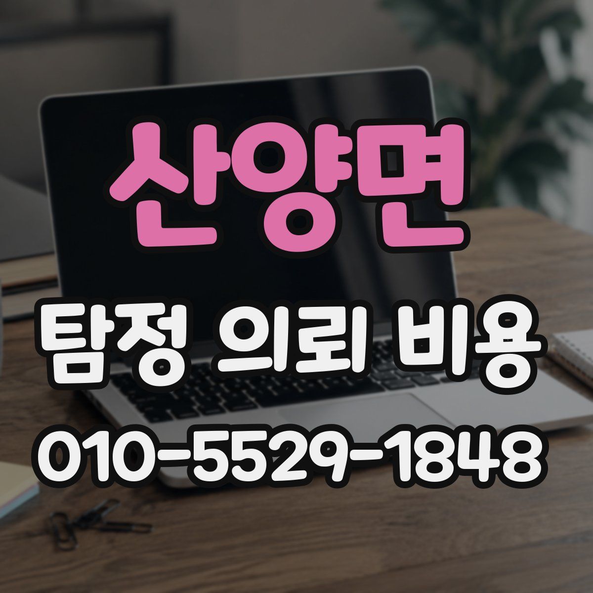 산양면 탐정 의뢰 비용