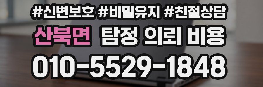 산북면 탐정 의뢰 비용