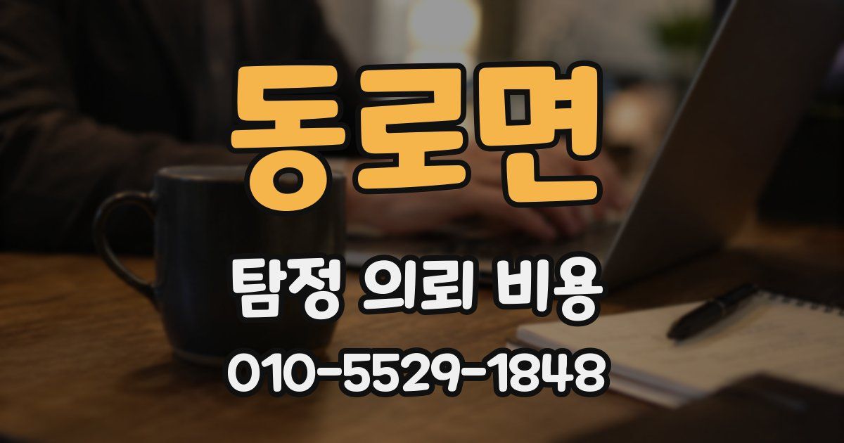 동로면 탐정 의뢰 비용
