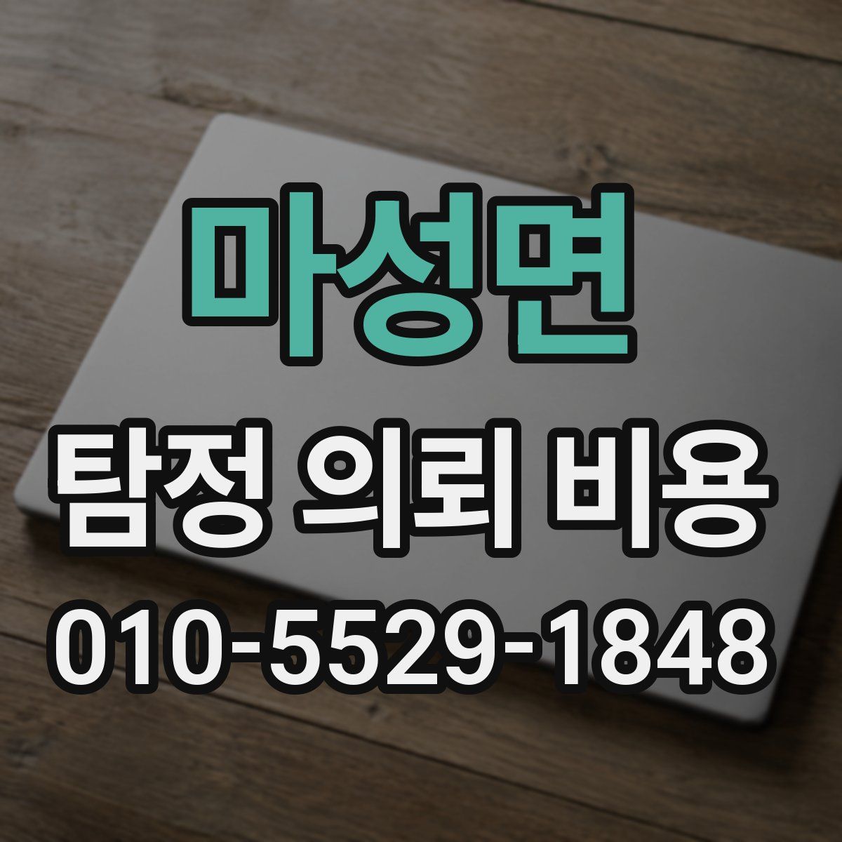 마성면 탐정 의뢰 비용