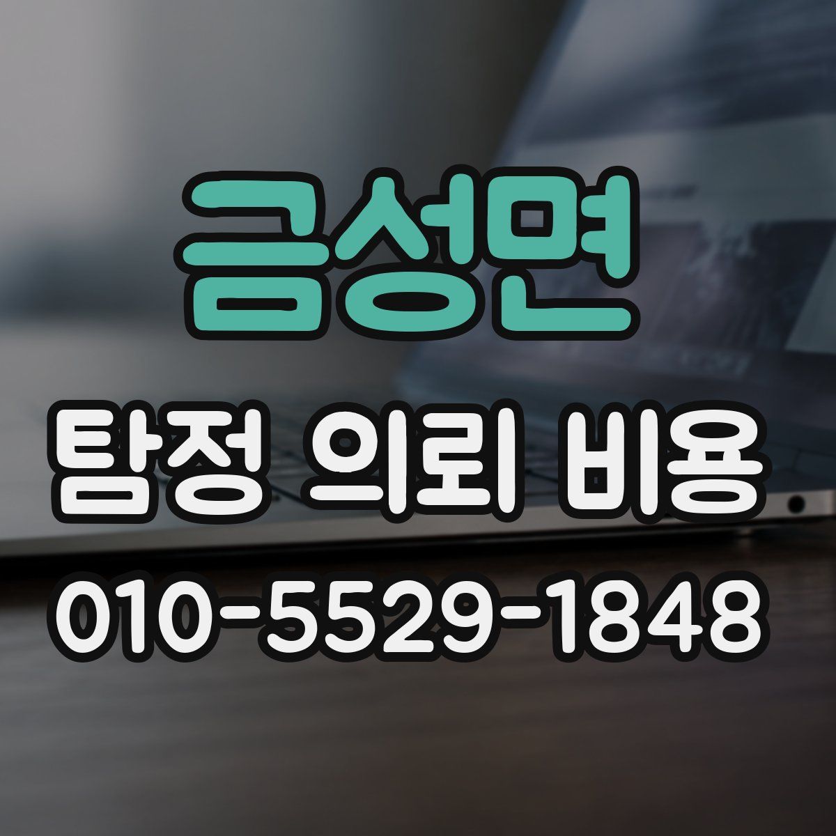 금성면 탐정 의뢰 비용