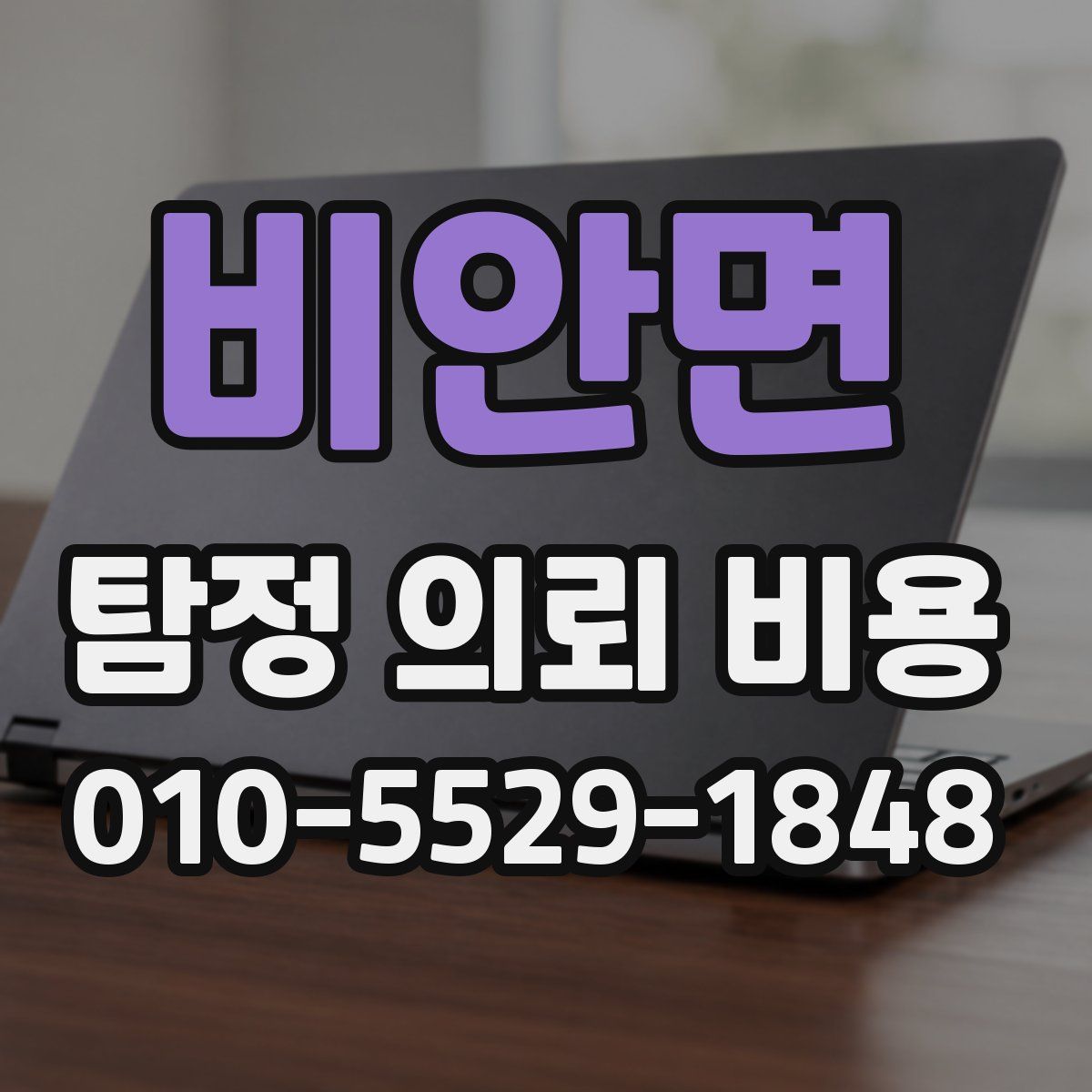 비안면 탐정 의뢰 비용