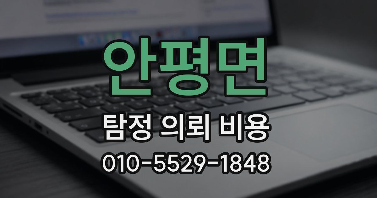 안평면 탐정 의뢰 비용