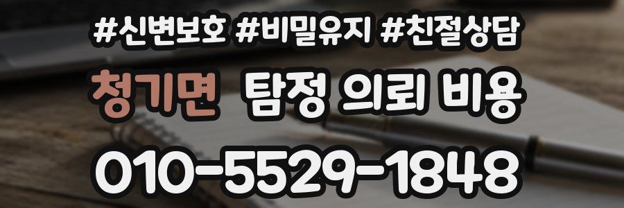 청기면 탐정 의뢰 비용