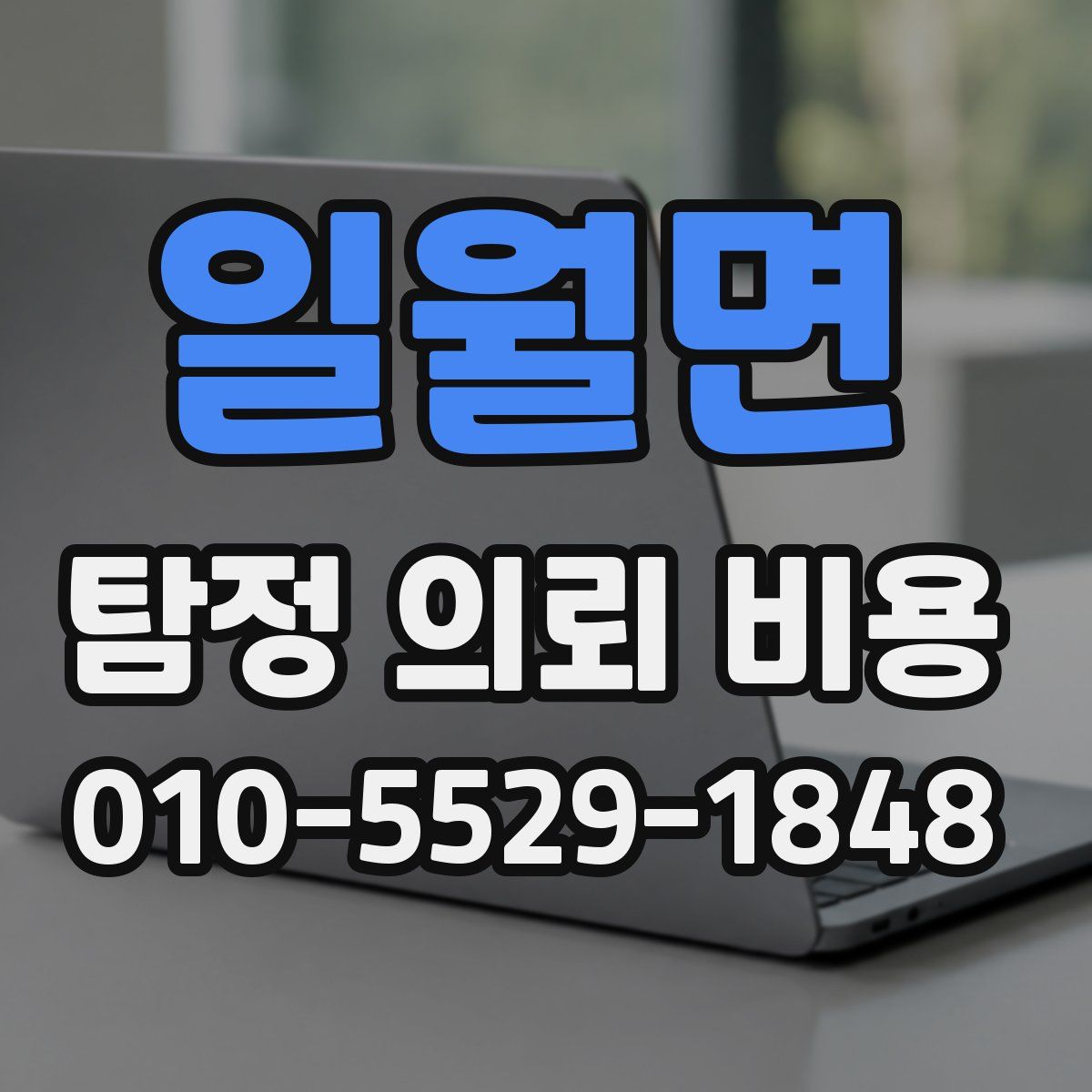 일월면 탐정 의뢰 비용