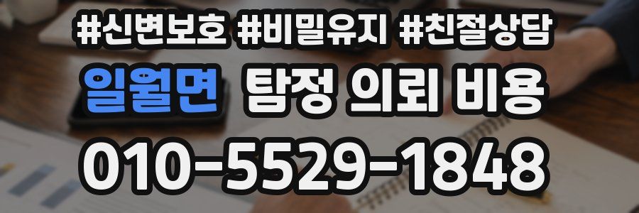 일월면 탐정 의뢰 비용