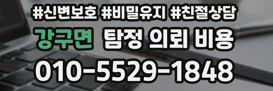 강구면 탐정 의뢰 비용