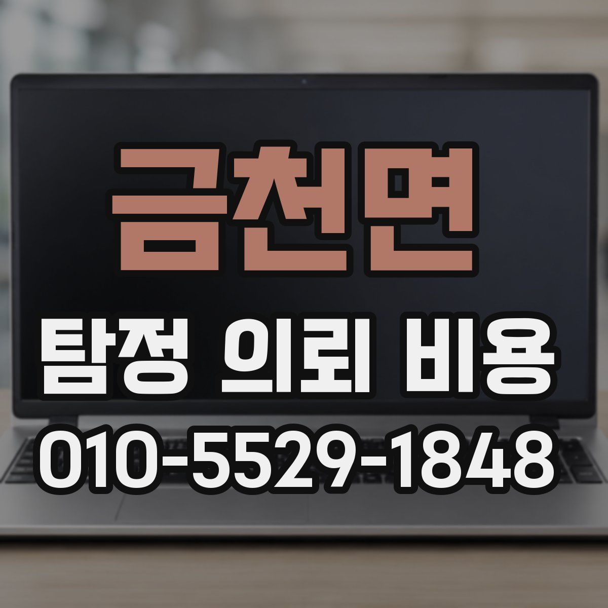 금천면 탐정 의뢰 비용