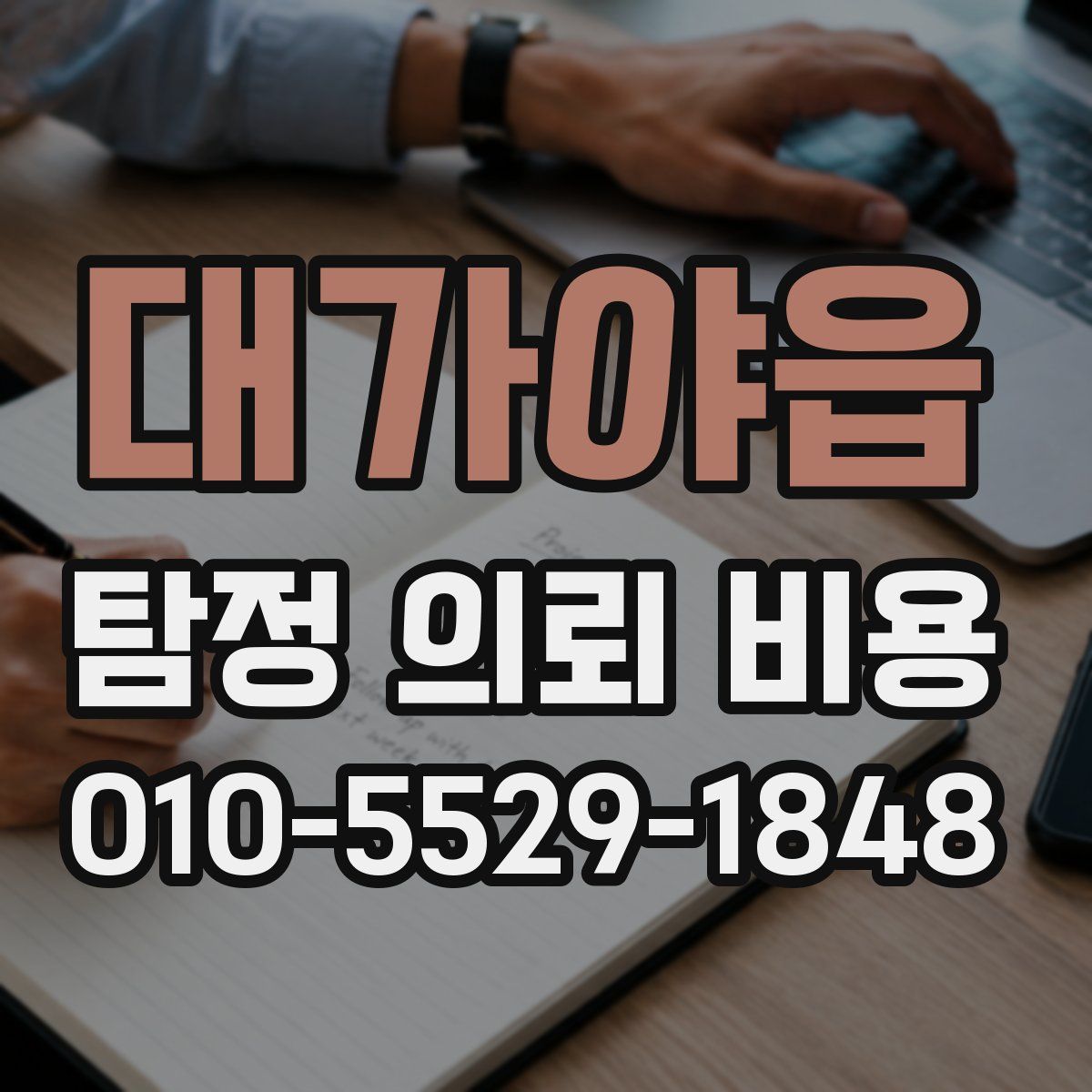 대가야읍 탐정 의뢰 비용