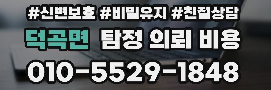 덕곡면 탐정 의뢰 비용