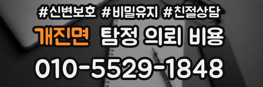 개진면 탐정 의뢰 비용