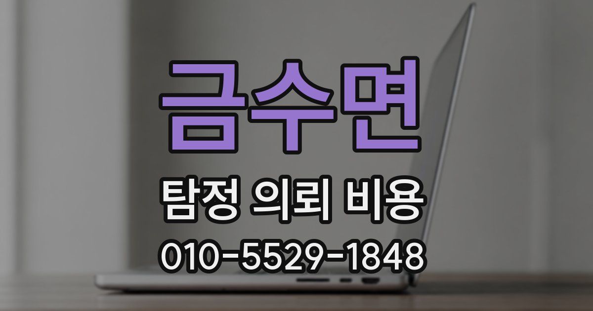 금수면 탐정 의뢰 비용