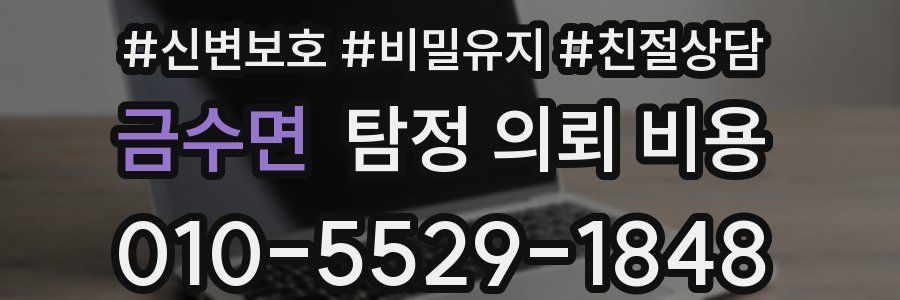 금수면 탐정 의뢰 비용