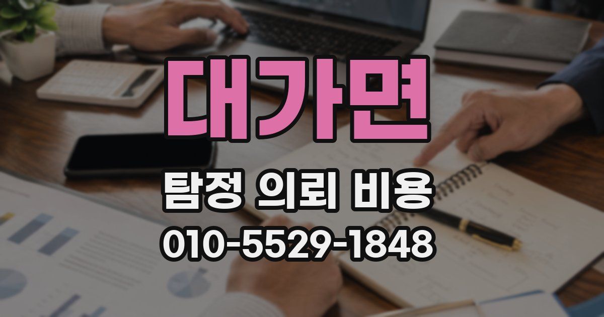 대가면 탐정 의뢰 비용
