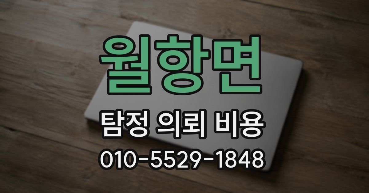 월항면 탐정 의뢰 비용