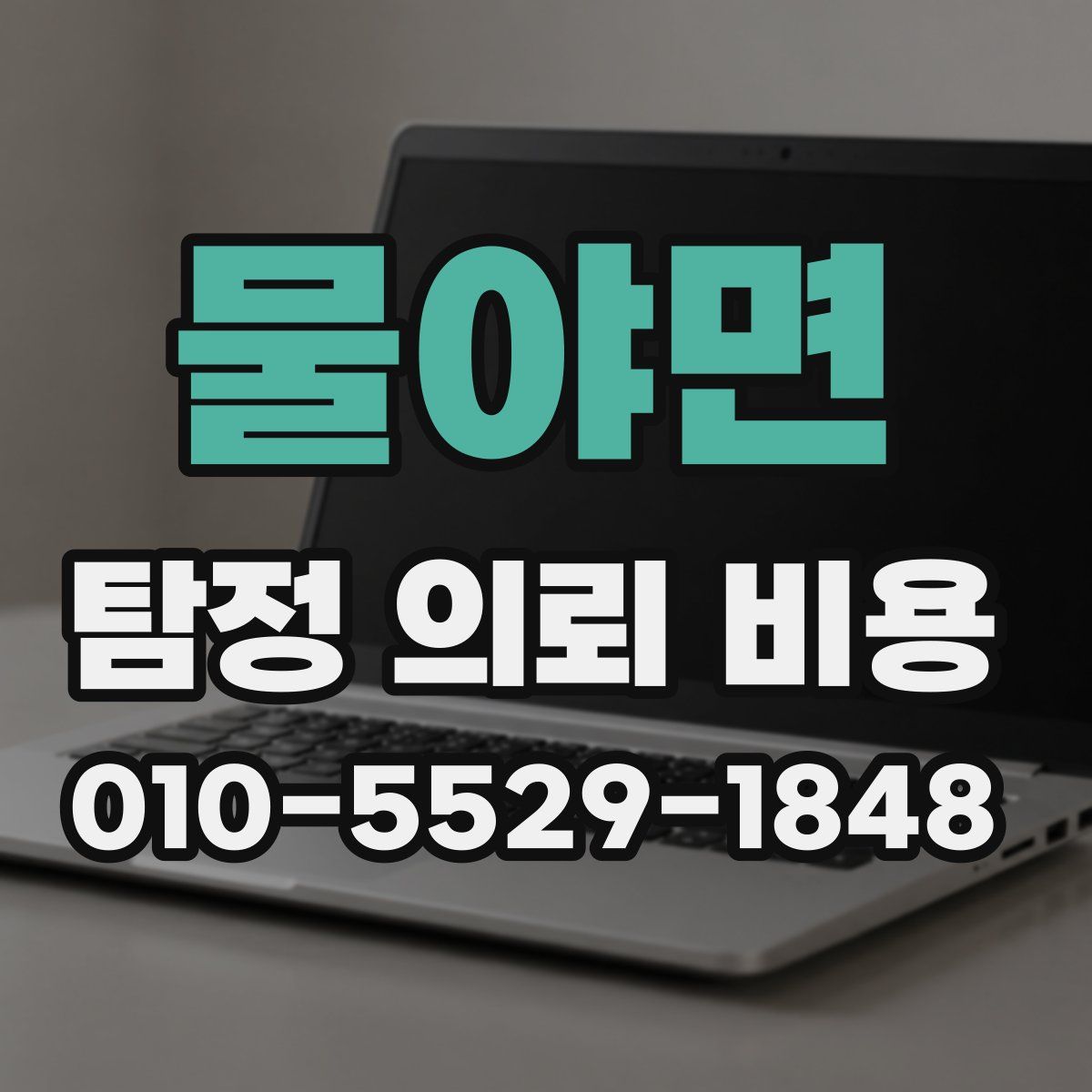 물야면 탐정 의뢰 비용