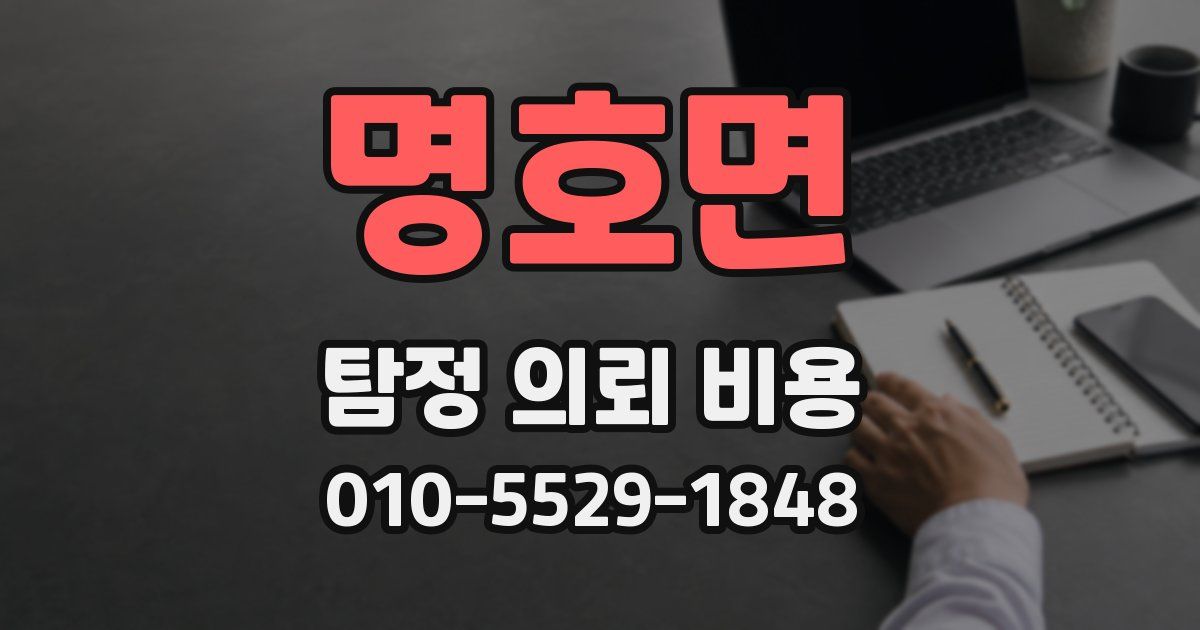 명호면 탐정 의뢰 비용