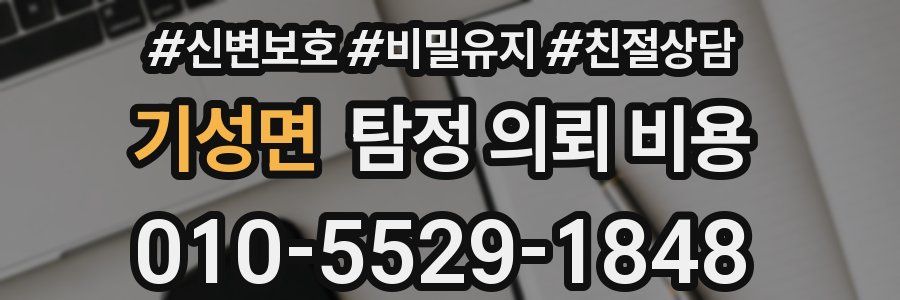 기성면 탐정 의뢰 비용
