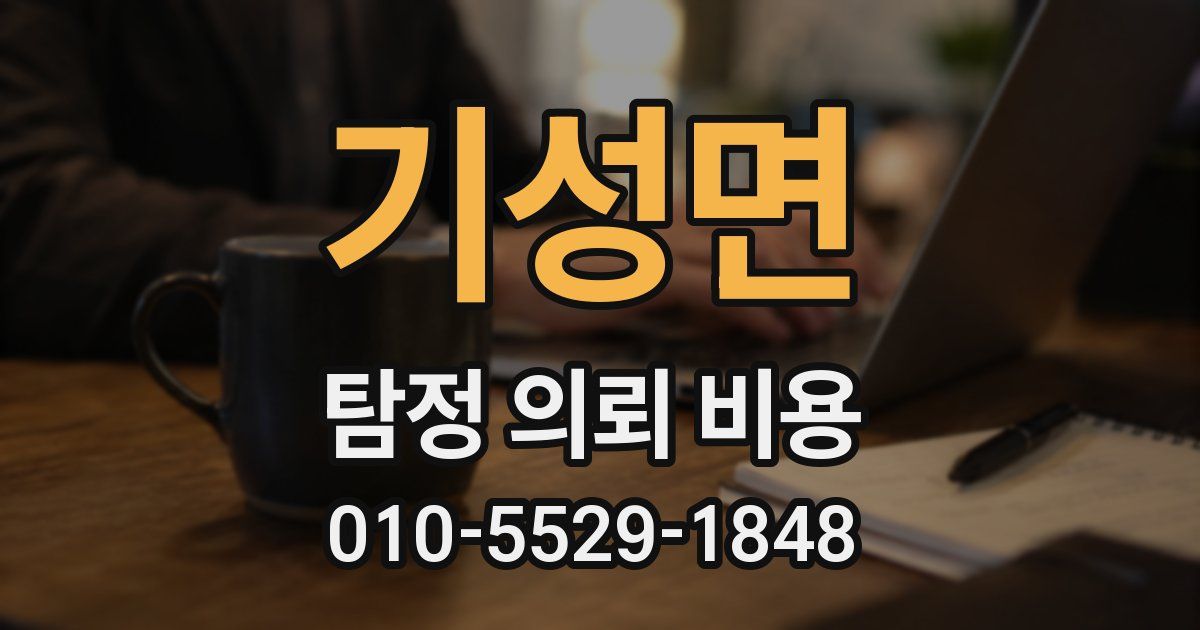기성면 탐정 의뢰 비용