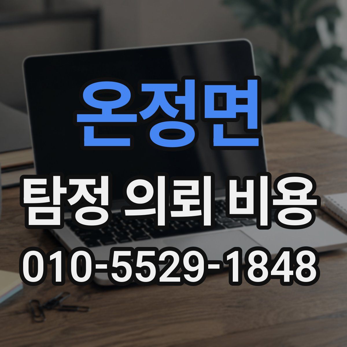 온정면 탐정 의뢰 비용