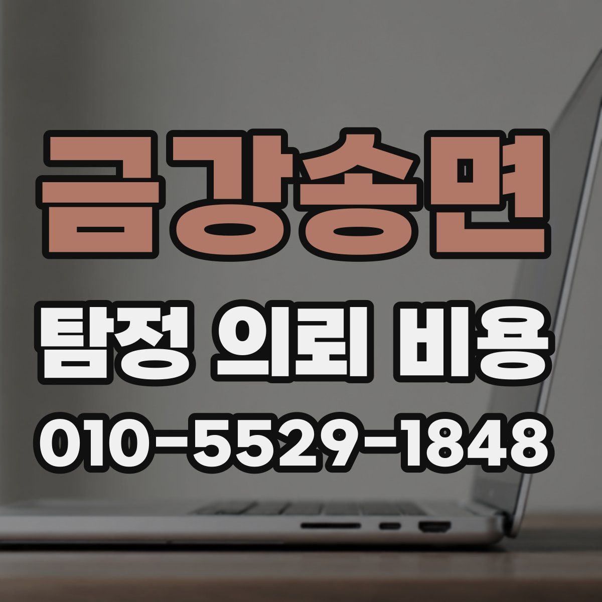 금강송면 탐정 의뢰 비용