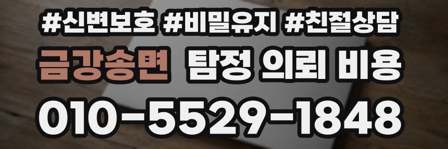 금강송면 탐정 의뢰 비용