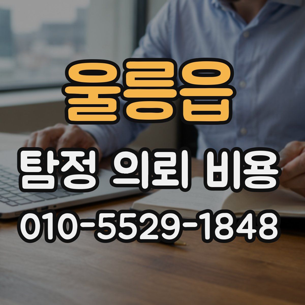울릉읍 탐정 의뢰 비용