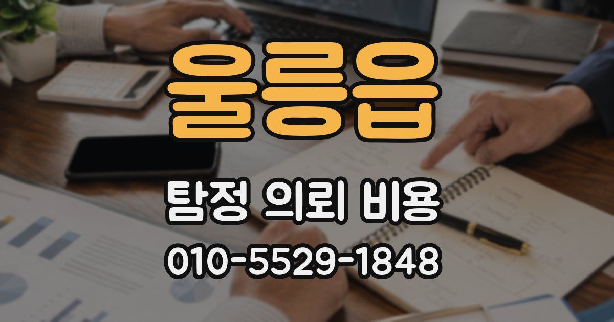 울릉읍 탐정 의뢰 비용