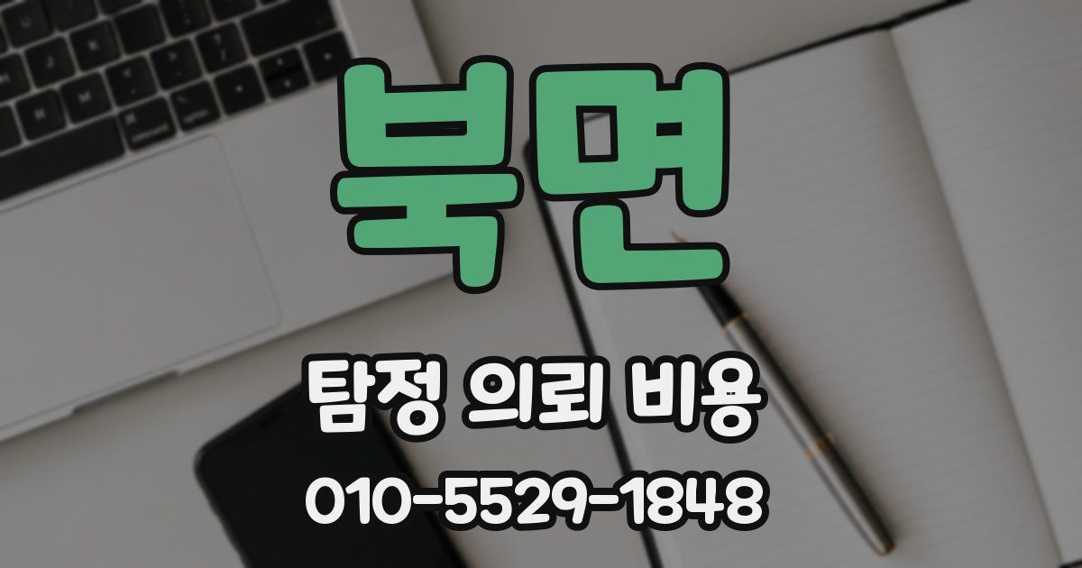 북면 탐정 의뢰 비용