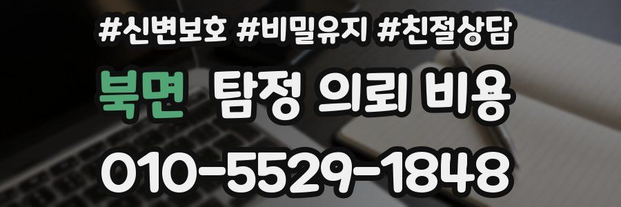 북면 탐정 의뢰 비용